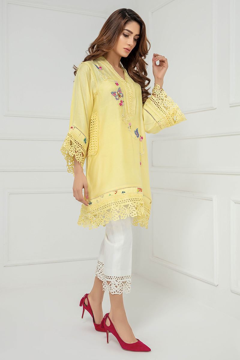 Picture of Butterfly