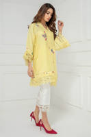 Picture of Butterfly