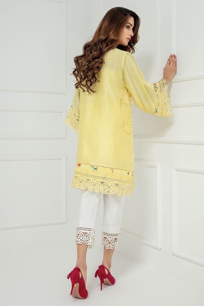 Picture of Butterfly