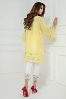 Picture of Butterfly