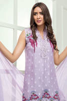 Picture of Amranthus