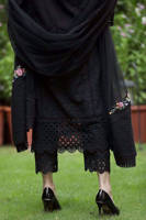 Picture of White Rose - Black