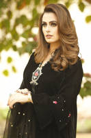 Picture of Victorian velvet