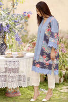 Picture of Blue Rose