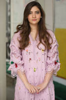 Picture of Lilac Daisy