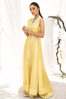 Picture of Silver Sunlight