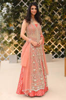 Picture of Frosty Gown with Lehenga and Dupatta