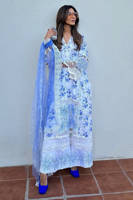 Picture of Rose Violet