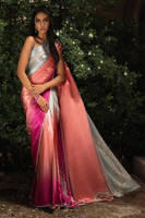 Picture of Starburst Ombre Sari