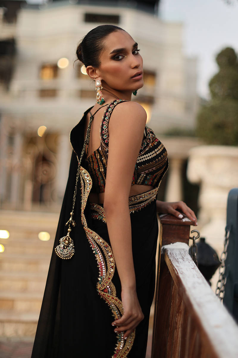 Picture of The Ethnic Sari