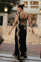 Picture of The Ethnic Sari