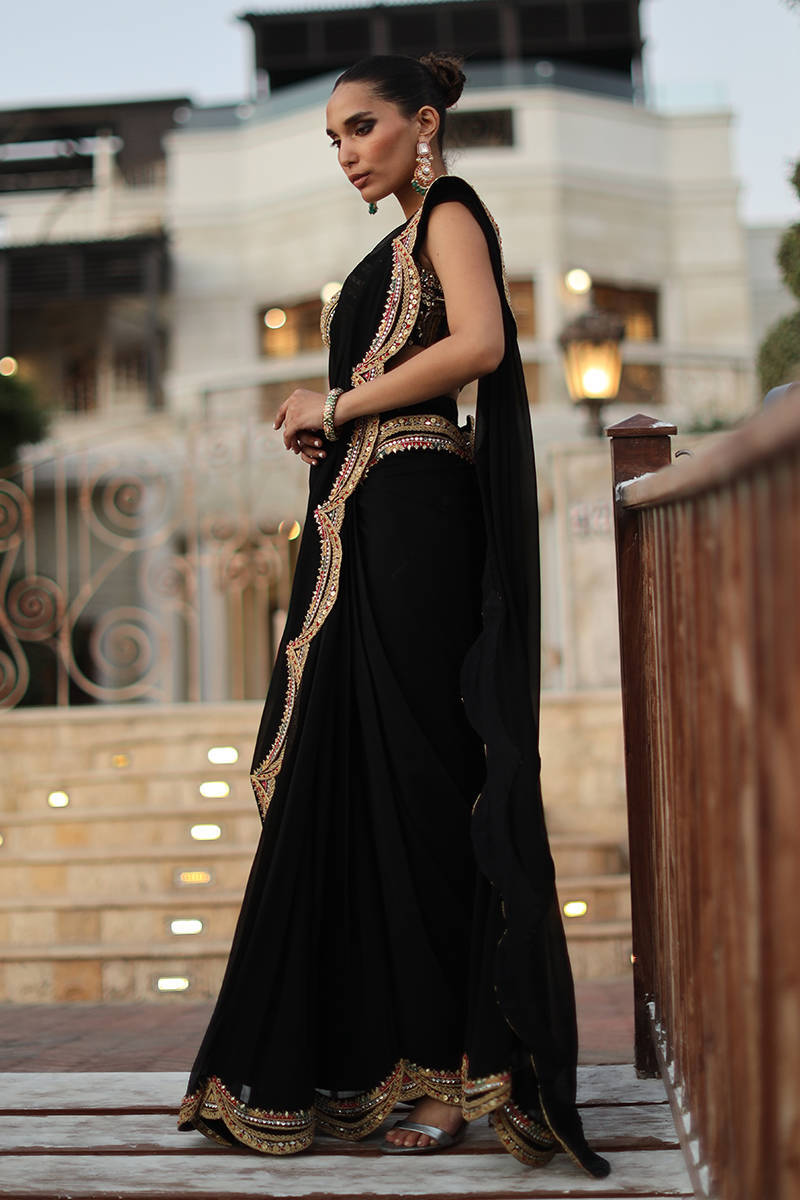 Picture of The Ethnic Sari