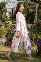 Picture of Butterfly Bloom