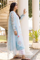 Picture of Blue Rose With Dupatta