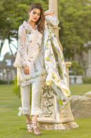 Picture of Botanical