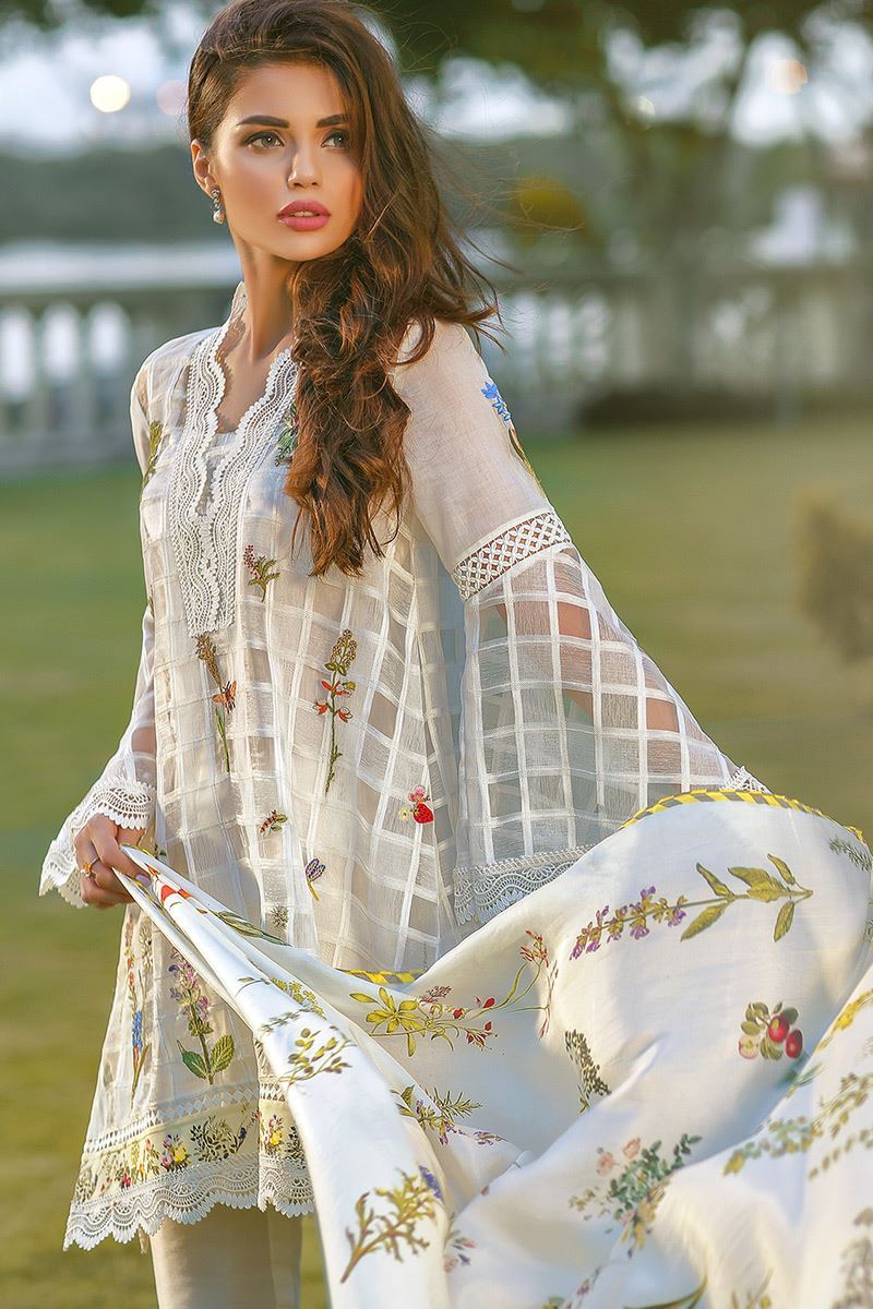 Picture of Botanical