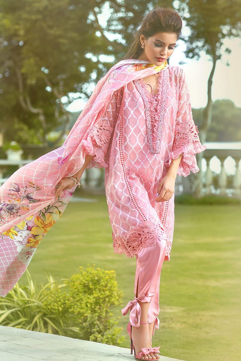 Picture of Blue bird