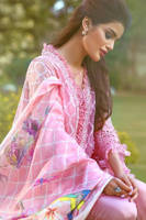 Picture of Blue bird