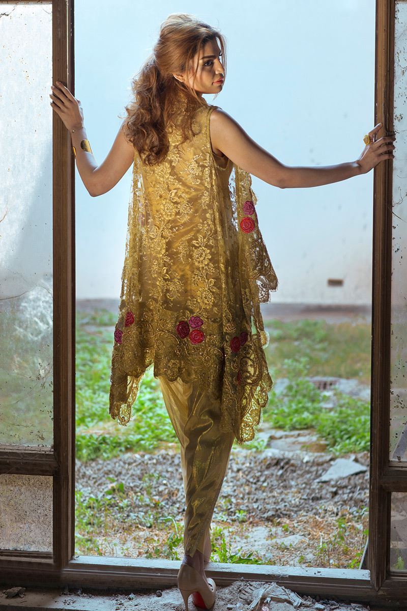 Picture of Gold Chantilly