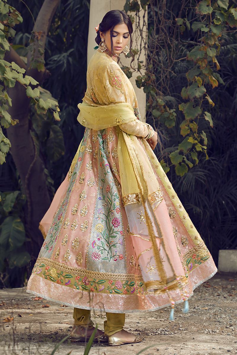 Picture of Pastel peshwas with pants
