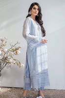 Picture of Cotton net chikankari