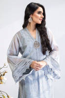 Picture of Cotton net chikankari