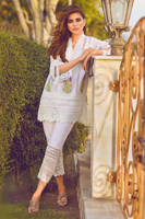 Picture of White delphi