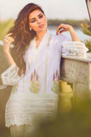 Picture of White delphi