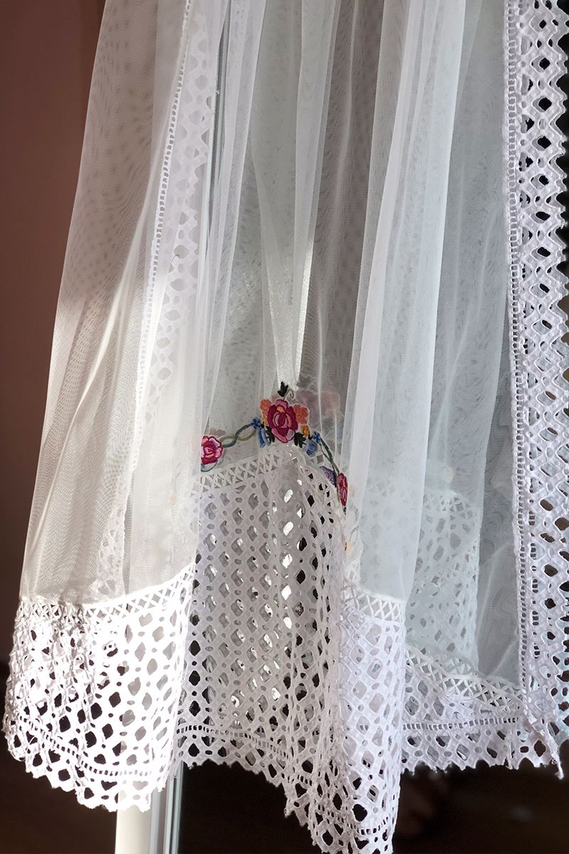 Picture of White rose