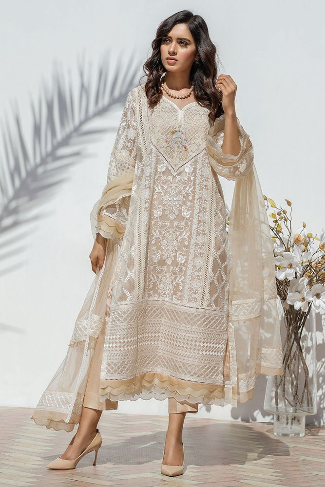 Picture of Shaded scallop