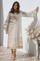 Picture of Shaded scallop