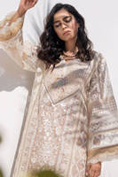 Picture of Shaded scallop