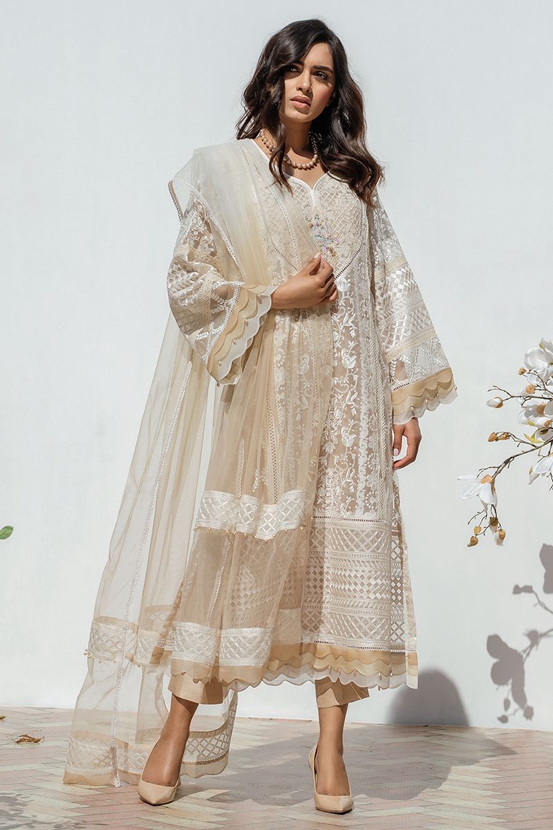 Picture of Shaded scallop