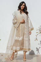 Picture of Shaded scallop