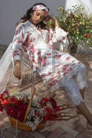 Picture of Rose garden