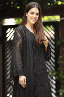 Picture of Black Rose Net