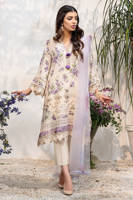 Picture of Lilac Rose