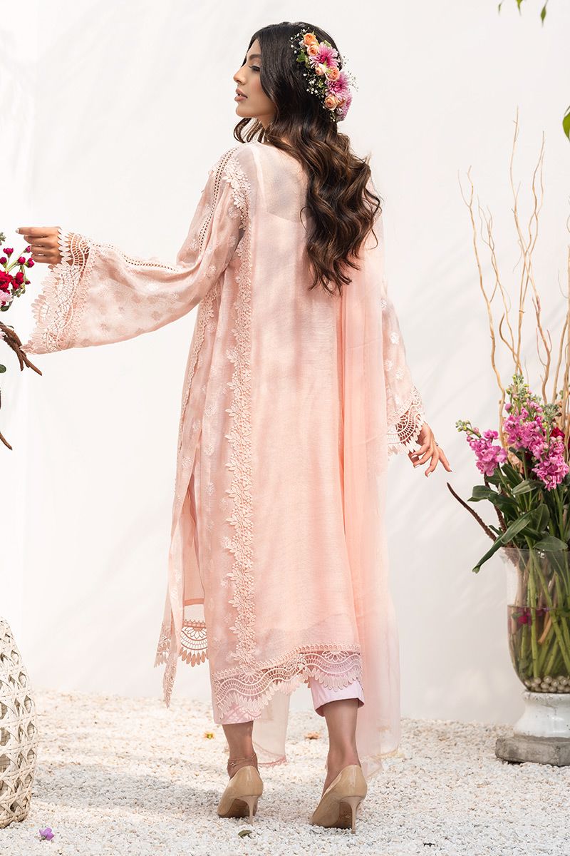 Picture of Kashmiri Kali Blush