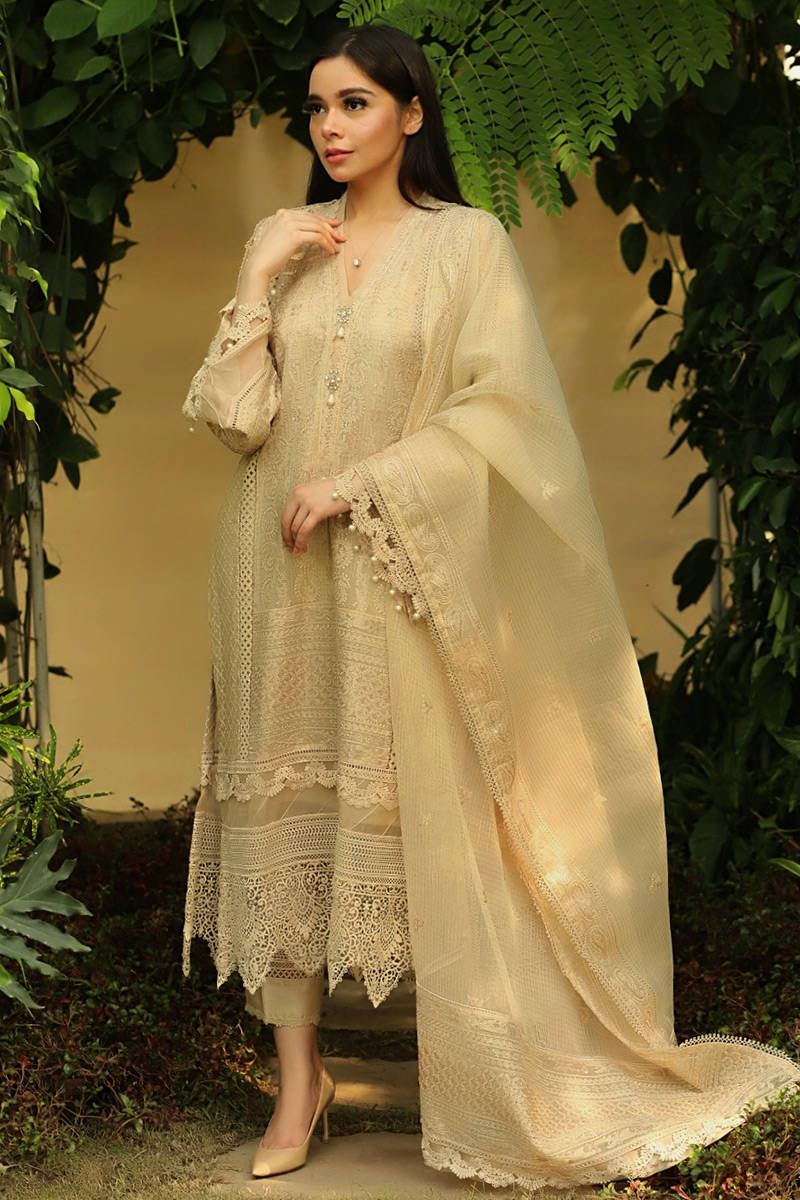 Picture of Chikankari Gold with Dupatta