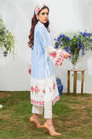 Picture of Blue Stripe Chikan