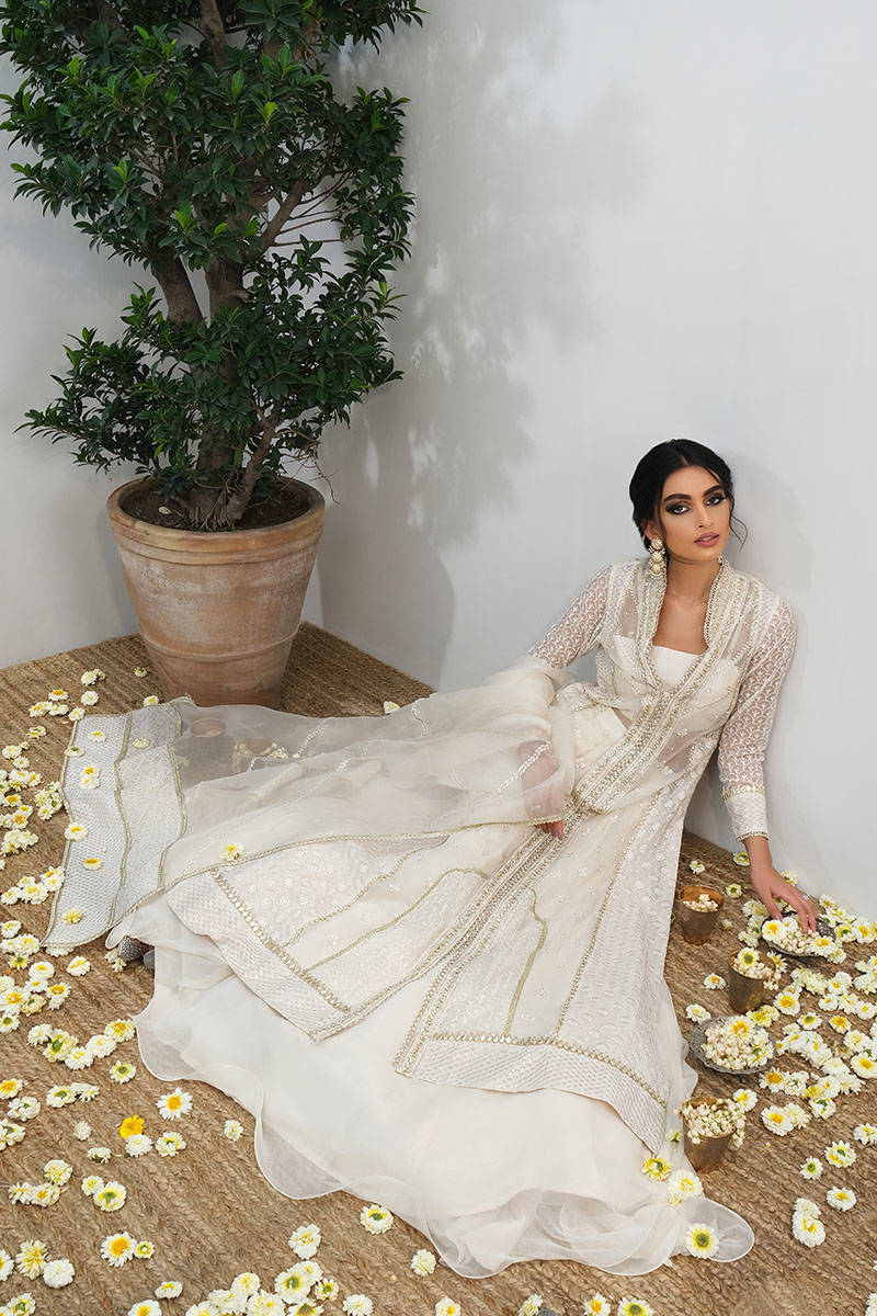 Picture of Lakhnavi Gown With Lehnga