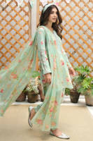 Picture of Aqua Floral with Shalwar