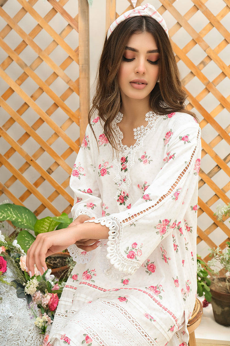 Picture of White Rose