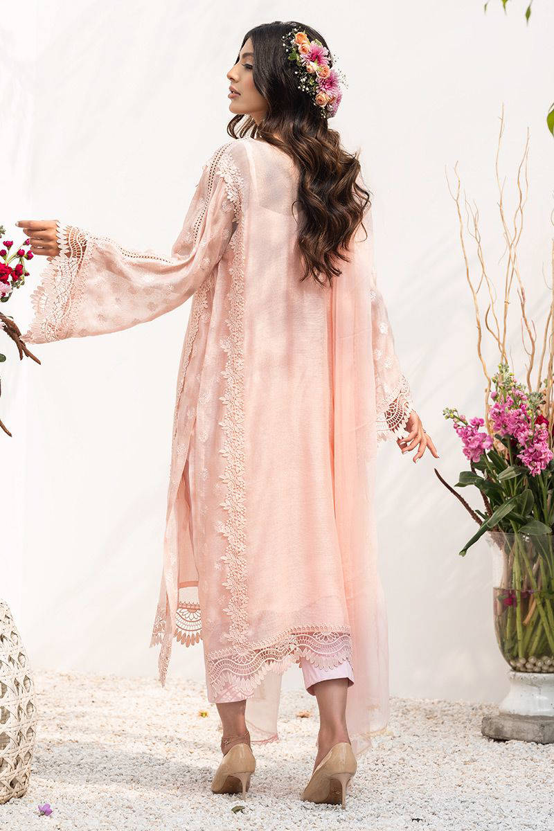 Picture of Kashmiri Kali Blush