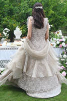 Picture of Champagne Lace Gown