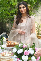 Picture of Champagne Lace Gown