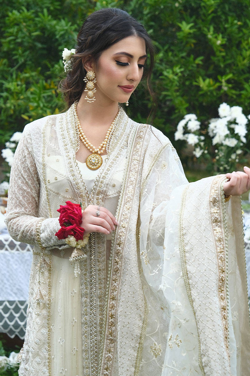 Picture of Lakhnavi Tassel Gown With Lehenga