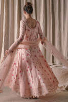 Picture of Pink Rose Peshwas