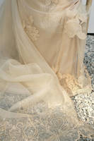 Picture of Cream Rose Net With Pants And Dupatta