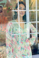 Picture of Aqua Chikan